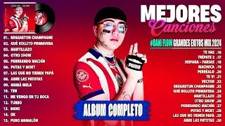 Dani Flow Grandes Exitos Mix 2024 - Dani Flow 2024  Dani Flow &Aacute;lbum Completo M&aacute;s Popular 2023