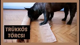 Kutyuskám - TrükkösTörcsi