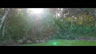 Flycam Redking practice