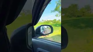 Yours is my love, Amar🥰😘 #shortsfeed #shortvideos #shorts #travel #souravjhoshivlog #love #ytshorts
