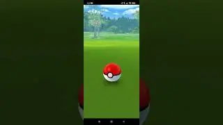 Choreogel Pok&eacute;mon GO!!!