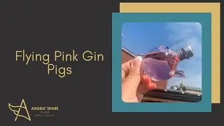 Flying Pink Gin Pig - perfect gin gift from Angels Share Glass