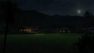 Cricket Sounds in Quiet Night | Nature Ambience for Deep Sleep, Relaxation and Stress Relief 😴