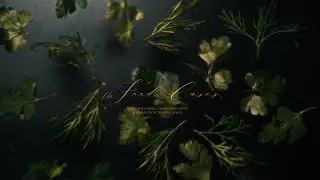 FOOD SHOWREEL 2026