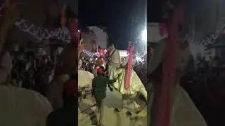 #viralvideo #shortvideo  horse dance khatarnaak #dancetrend  #horsecompilation