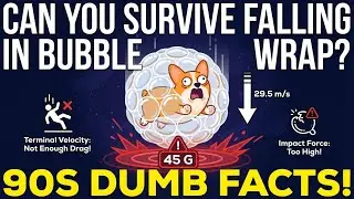 [Dumb Facts] Can You Survive Falling In Bubble Wrap?