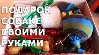 Подарок собаке своими руками