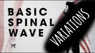 IDO PORTAL SPINAL WAVE VARIATIONS