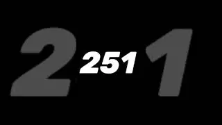 #251