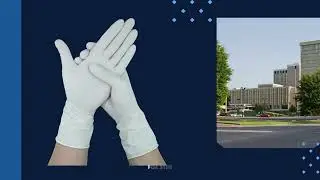 China's Premier Latex Gloves Factory Direct Supply Partner