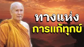 ฟังธรรมะก่อนนอน | ทางแห่งการแก้ทุกข์ | หลวงพ่อปัญญา นันทภิกขุ