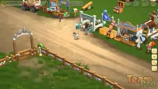 Mini Esel Rennen