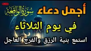 قراءة مؤثرة! دورة واحدة قد تجلب لك الثروة