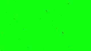 Snowfall, Snowflakes Green Screen Loop Video [10 Minute] | Free Background Videos (No Copyright)