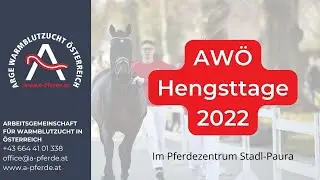 Aftermovie der AWÖ Hengsttage 2022 im Pferdezentrum Stadl-Paura