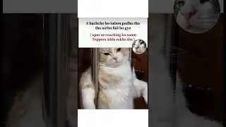 like ❌#aestheic​&nbsp; #shortvideos​ #tweetreels​ #viralvideos​ #popular​ #sadquotes​. #cat​
