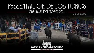 EN DIRECTO/ Presentación de los toros del Carnaval del Toro 2024