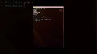 grep command with  -q flag