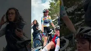 A golden trio at FDJ-SUEZ