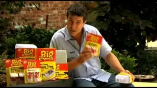 The Big Cheese Product Range - PestControlGroup.co.uk