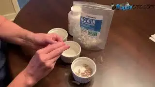Goodbye Stress: Master Cat Medication with This DIY Pill Trick (Gelatin Caps!)