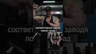 Жим гантелей сидя