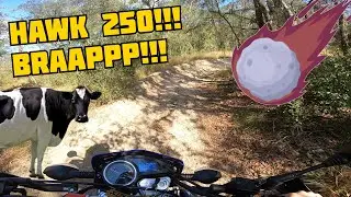 Hawk 250 Adventures!!! Weekend Off-roading!!!