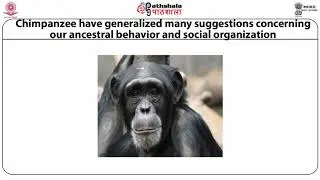 Anth P01 M12. Reconstruction of ancient human behavior and social organizations