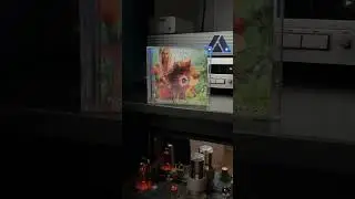 Entheogenic &ldquo;Dialogue of the Speakers&rdquo; 2005