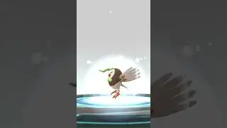 [Pokemon GO] Full Evolution Line of 98% Rowlet into 98% Decidueye! #pokemongo #evolution #decidueye