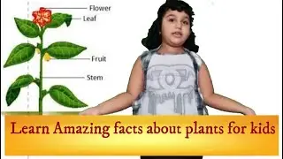 All about Plants for kids| Come Play And Learn With Me|Learning Videos for kids