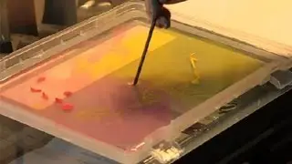 Marbling Acrylic Paint : Art & Painting Tutorials