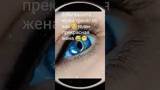 #music #remix #dj #live #singer #cat #котофейка #котики #видосыоткота