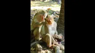 Teresa and  Brianna Sit Looking Young Brighten Carry Her Bb gone away