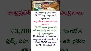 Business Ideas Telugu| Chandrababu Naidu&rsquo;s ₹6,100 Cr Surprise After 2024 Victory #facts #shorts