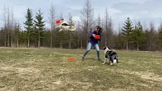 Tesla and Louka Frisbee tricks