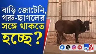 Jalpaiguri Bangla Bari: গরু-ছাগলের পাশে রাত কাটাতে হচ্ছে স্থানীয়দের? | TV9 Bangla Breaking