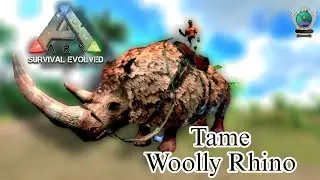 How to Tame Woolly Rhino in Ark Survival Evolved Mobile