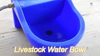 heavy duty pe automatic livestock water bowl 9.3l for ranch