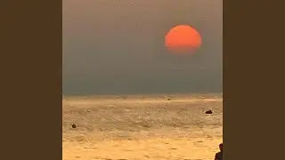 Room on Fire