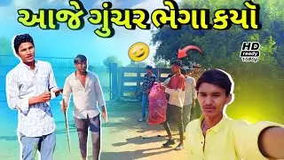 દોરીથી પક્ષીઓ નો બચાવ ll gujrati vlog vidio ll ગુજરાતી vlog વિડિઓ ll @SBTHAKORVLOG456 
