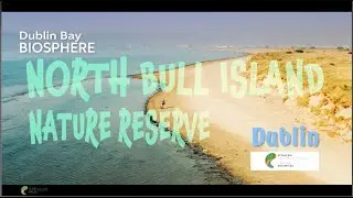 2020 1118 V03 BULL ISLAND