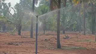 Sprinkler Irrigation 