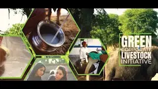 Revolutionizing Livestock Management: The Future of Farming in Pakistan | GCLI