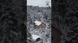 Manzano Mountain winter at our place