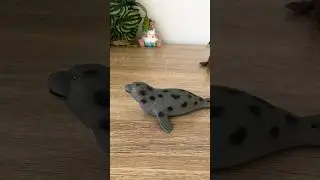 Spotted Seal #shorts