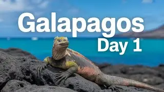 Ultimate Galapagos - Day 1: The Unbelievable Prelude to Paradise