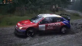 Asseto Corsa Rally - Citroen - 2003 Xsara WRC - Afon Biga with Rain, Wales - Gold Medal - 07:07:294