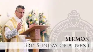 Sermon - Be Nothing Solicitous - Rev. Fr. Goshie - 12/11/22 - St Thomas Aquinas