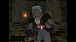 Facing a champion and Seda's sacrifice. Dark Cloud pt 10